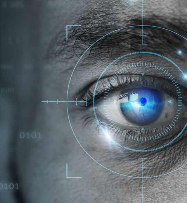 a grey and blue image showing a biometric eye